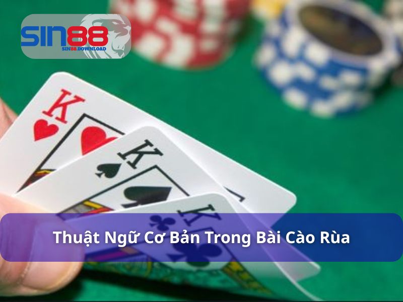 Cách Chơi Bài Cào Rùa Chi Tiết Và Hiệu Quả Cho Người Mới 6 Nắm rõ thuật ngữ cơ bản trong cách chơi bài cào rùa