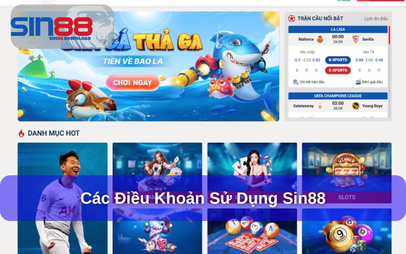 Tổng hợp các điều khoản sử dụng Sin88 hiện nay