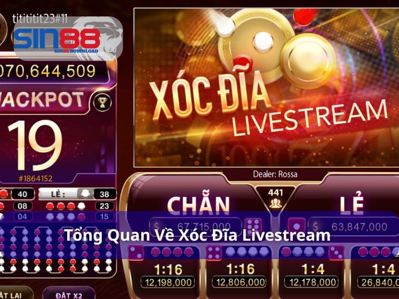 Xóc Đĩa Livestream – Cá Cược Siêu Thực Với Dealer Xinh Đẹp Sin88 5 Xóc đĩa livestream mới mẻ và thú vị