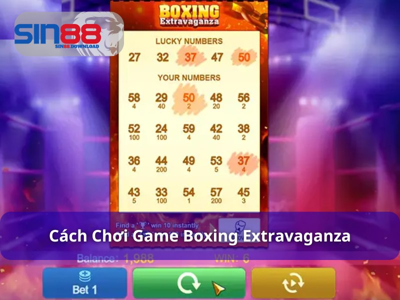 Tìm kiếm Boxing Extravaganza và trải nghiệm mỗi ngày