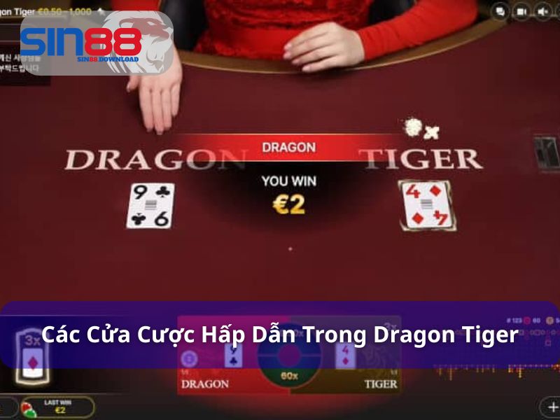Dragon Tiger - Trận Chiến Rồng Hổ Đầy Kịch Tính Tại Sin88 7 Các cửa cược đa dạng khi chơi Rồng Hổ