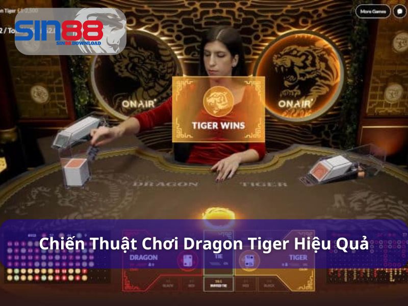 Dragon Tiger - Trận Chiến Rồng Hổ Đầy Kịch Tính Tại Sin88 8 Chiến thuật chơi Dragon Tiger hiệu quả cho người mới