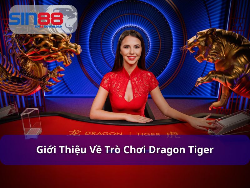 Dragon Tiger - Trận Chiến Rồng Hổ Đầy Kịch Tính Tại Sin88 6 Khái niệm và luật chơi cơ bản Dragon Tiger